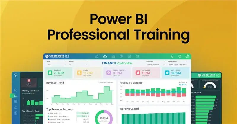 power bi professional training