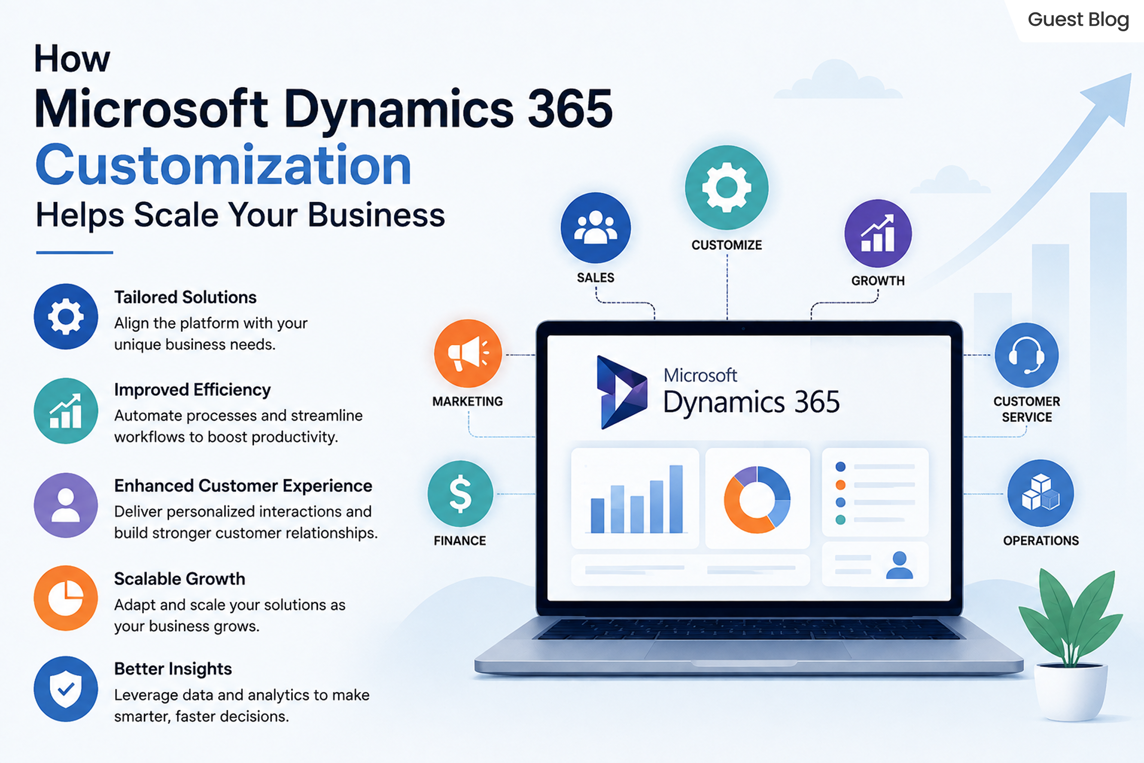 microsoft dynamics 365 customization